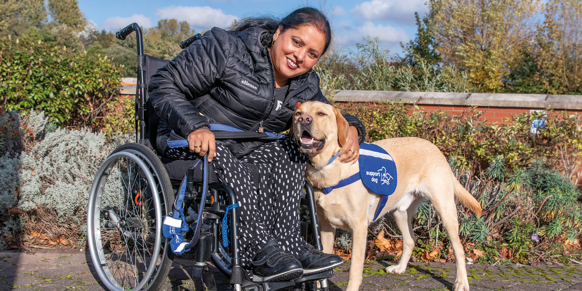 Four-legged miracles are changing lives