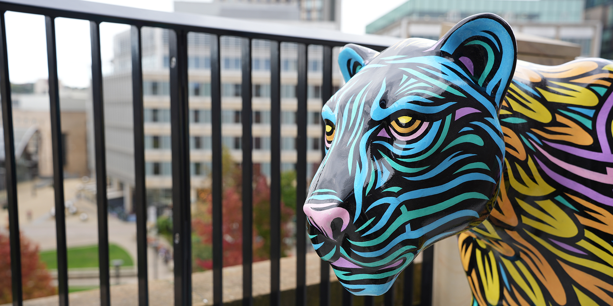 Lions set to take over South Yorkshire 